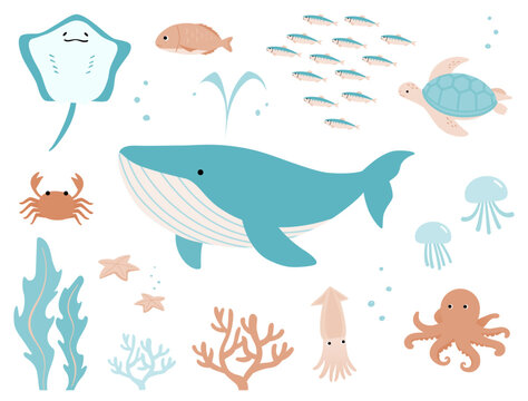 夏の海の生き物シンプルかわいいイラストセット