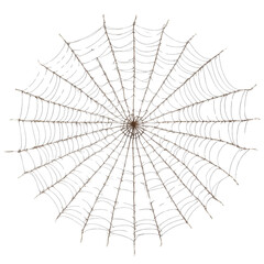 Obraz premium spider web isolated on transparent background cutout