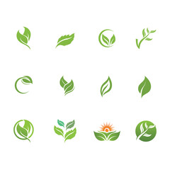 Obraz premium Logos of green Tree leaf ecology
