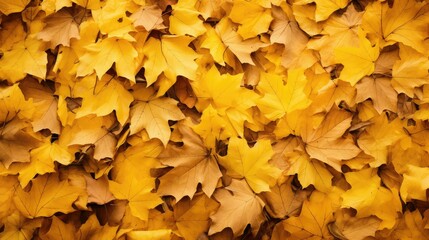 floor yellow brown texture