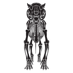 Tiger bones in bold outline – Tiger skeleton silhouette paired with minimal Tiger skeleton vector – Tiger skeleton illustration

