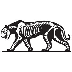 Fototapeta premium Art meets natural science – Tiger skeleton silhouette and hand-drawn Tiger skeleton vector – Tiger skeleton illustration