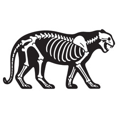 Fototapeta premium Echoes of the wild – Tiger skeleton silhouette crafted with precision in Tiger skeleton vector – Tiger skeleton illustration