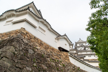 Obraz premium 世界遺産の姫路城