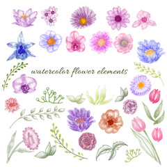 set of flowers and leaves
Set Vector 
Flower Element 
Purple flowers element 
Watercolor flowers 
