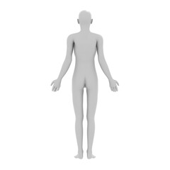 human body, 3d rendered model, transparent png available