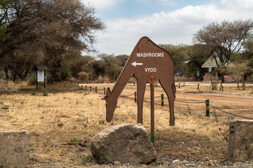 Elefanten im Tarangire Nationalpark