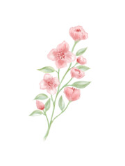 Fototapeta premium pink flower isolated on white Flower Element 