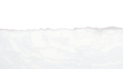 Obraz premium Torn Paper Edge Texture High-Resolution White Paper Texture Background