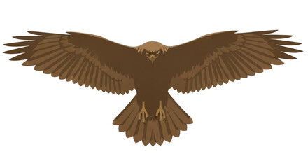 Isolated Brown Eagle in Flight