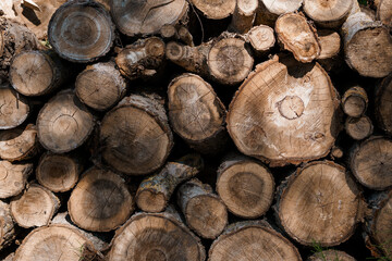 Stacked firewood logs close-up brown wood texture nature pile energy forestry sustainable resource...