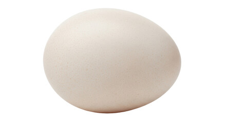 Isolated Egg