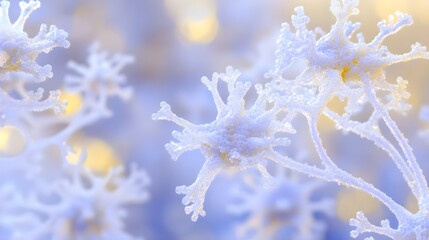 Winter, Frost, Ice, Frozen Branches in Winter Wonderland