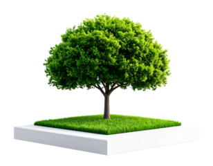  “Minimal Two-Layer Tree Over White Platform with Grass Base, Transparent PNG”