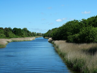 Moor canal to Schnaterman. Nature route near Warnemünde. Calm water, dense vegetation, and an...
