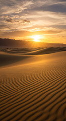 sunset in the desert