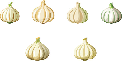 Garlic set vector illustration
