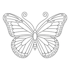 Gray Line Art Butterfly Detailed Wings Pattern Design