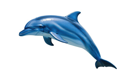 Isolated Dolphin Sea Mammal