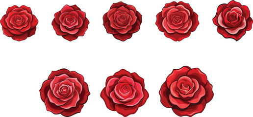 Red rose flower set vector illustration