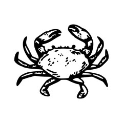 marine animal crab illustration