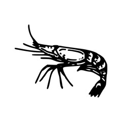 stylized shrimp silhouette vector