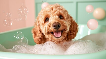 Cute Golden Doodle dog in a small bathtub with soap foam and bubbles cute pastel colors. Adorable fluffy canine enjoying a luxurious bubble bath pastel hues and playful suds create