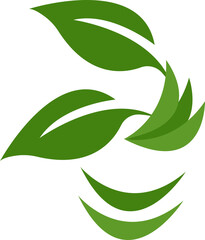 Nature Leaf Icon