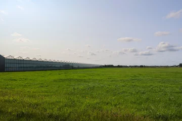 Tableau sur plexiglas Prairie, marais Meadows, fields and roads in the Middengebied area where new village Cortelande will arise  © André Muller