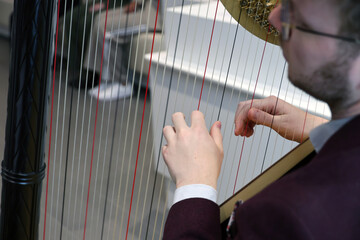 Harp player at the city hall of Zuidplas municipality for annual presentation