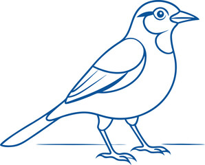 Obraz premium Elegant Jay Bird Line Drawing Vector Art for Design