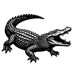 crocodile