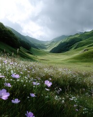 Obraz premium Peaceful green meadow under cloudy sky, wildflowers and calm light