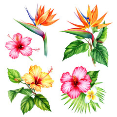 Obraz premium Vibrant collection of detailed tropical flowers including bird of paradise and hibiscus with lush green leaves perfect for botanical illustrations
