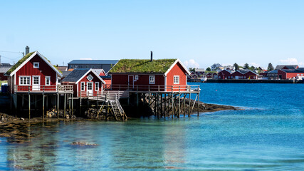 Fototapeta premium Explore traditional red cabins along the serene coastline of Norways stunning Lofoten islands