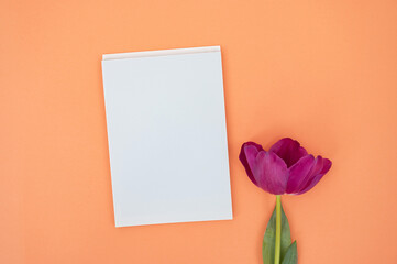 Blank greeting card with purple tulip on orange background