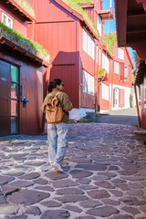 Explore charming streets of the Faroe Islands with colorful houses and vibrant culture