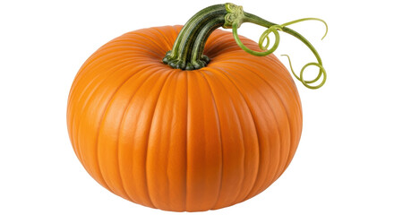 Isolated Pumpkin