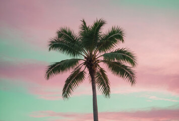 Obraz premium Lone Palm Tree Silhouetted Against Pastel Pink and Mint Sky
