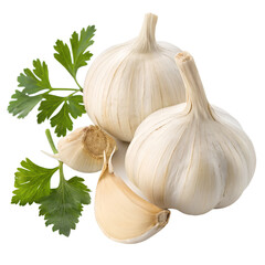Garlic bulbs and clove are shown isolated against a transparent backdrop with some green parsley leaves for natural decoration.