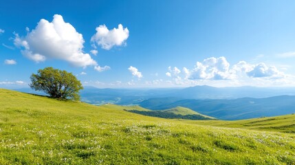 Obraz premium A stunning landscape featuring rolling green hills, a single tree, and a bright blue sky filled with fluffy clouds.