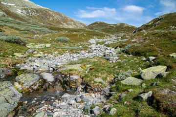 Mountain Stream and Mossy Rocks at Gaustadtoppen