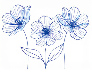 Obraz premium blue flower line art design.backgrounds, cut out, doodle, invitation, no people, ornate, paint, sketch, springtime, textile, bouquet, color image, copy space, daisy, design element, 