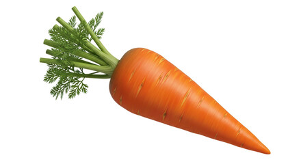 Isolated Carrot