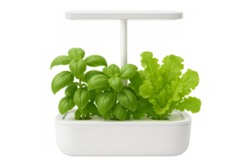 Smart indoor garden growing basil and lettuce with led grow light on transparent background