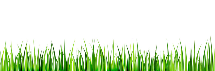 Fototapeta premium Realistic green grass seamless horizontal background. Vector illustration. Summer, spring lawn landscape design element