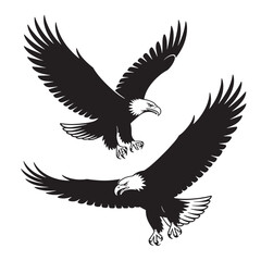 Two Black and White Line Art Eagles in Flight Wings Spread Talons Extended Detailed Vector Graphic bird