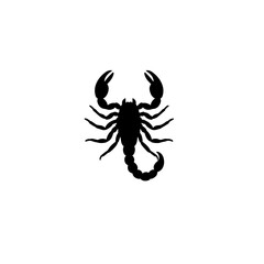 scorpion vector illustration
