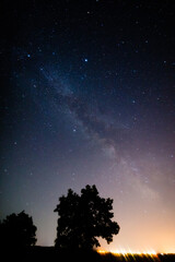 Milky Way stars and rural countryside tree silhouettes