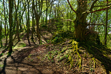 a beautiful day in the ancient town of Dollnstein